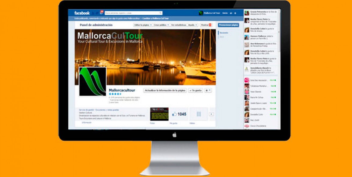 Social Media Marketing, e-Mail Marketing: Marketing Online (Mallorca)