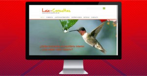 Diseño Web Mallorca: Página Web de Empresa en Mallorca